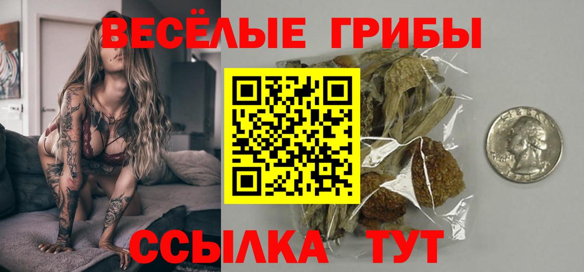 Псилоцибиновые грибы Cubensis  Вход с VPN  Мариинск 